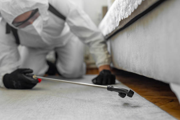 Professional Emergency Pest Control technician working in Parkville, PA
